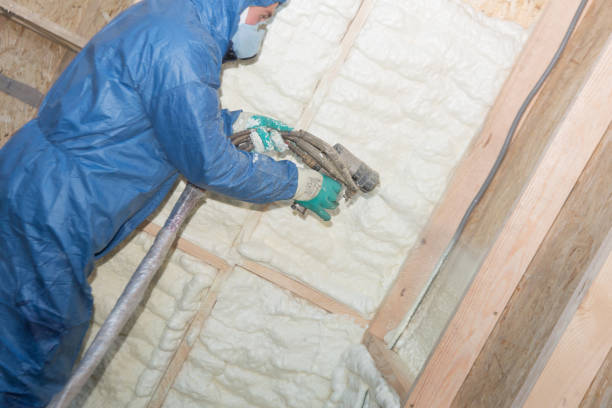 Professional Foam Insulation Services in Ellenton, FL